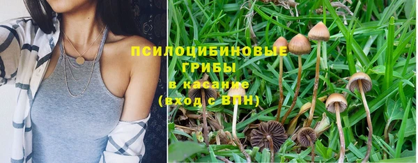 герыч Белокуриха