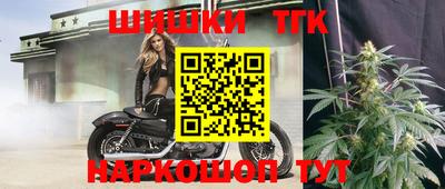 индика Кунгур