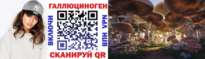 Псилоцибиновые грибы Cubensis  Кстово 