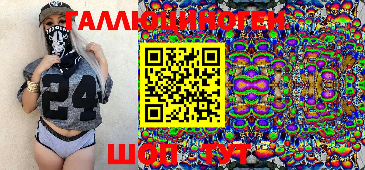 Галлюциногенные грибы Psilocybine cubensis Кстово