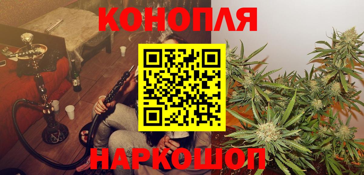 Бошки марихуана сатива Кстово